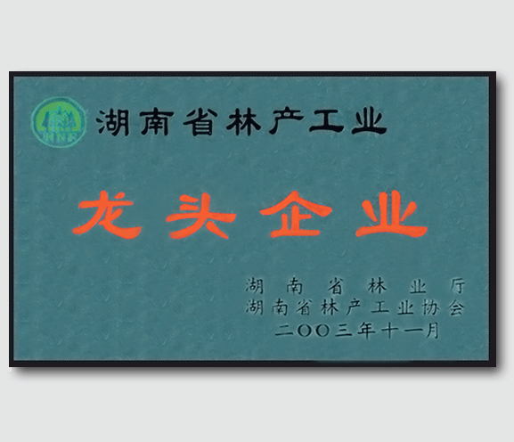 湖南省林業(yè)產(chǎn)業(yè)龍頭企業(yè)